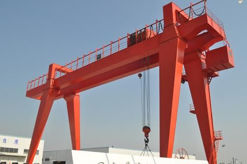 7830841.jpg